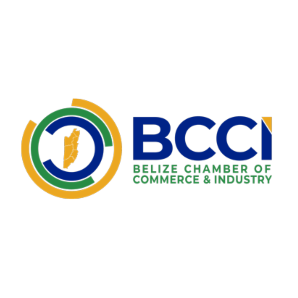 BCCI Logo